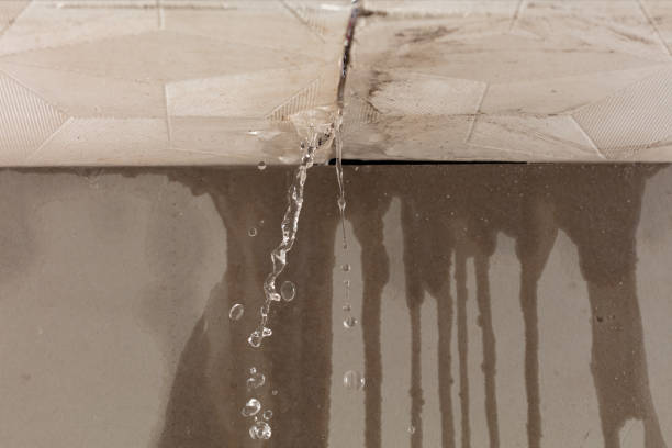 Professional Burst Pipe Cleanup technician working in Wahoo, NE